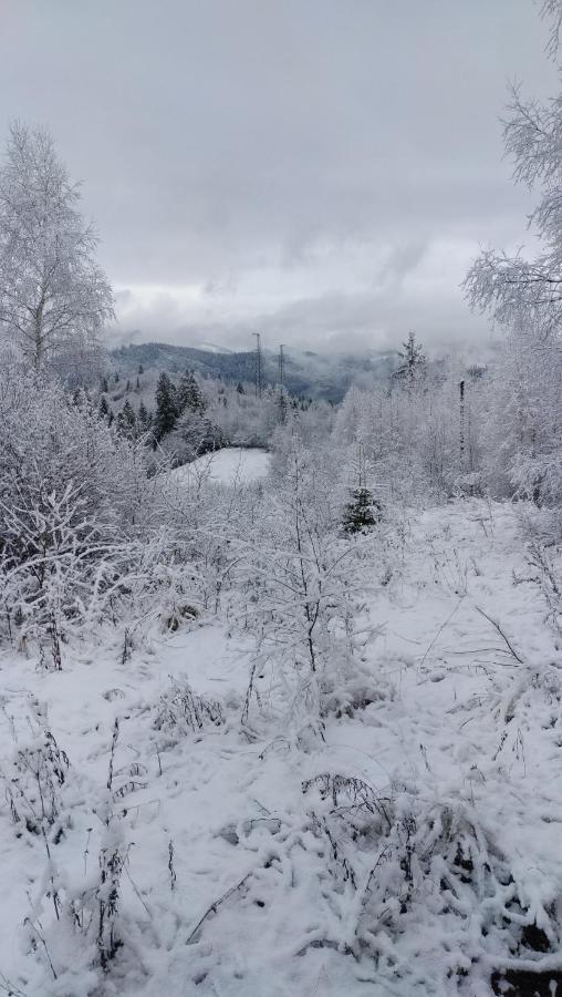 Zacharovany Karpaty Славское Экстерьер фото